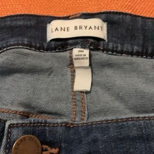 Lane Bryant Flex MagicWaistband Jeans